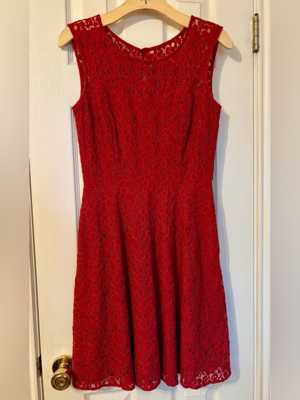 White House Black Market Lace Fit & Flare Mini Dress